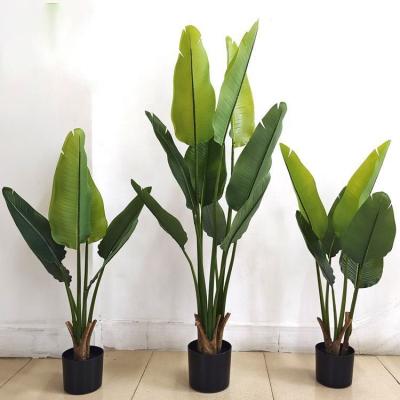 China Home.Party.Restaurant.Bar.Hotel High-end Style High-end Style Wholesale Hot Sale Traveler's Banana Green Plant For Living Room Home Decor for sale