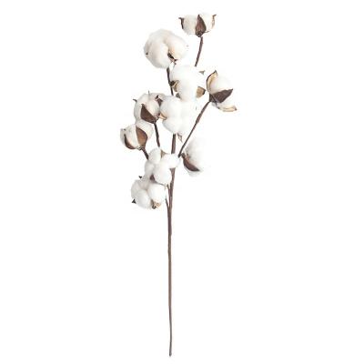 China Widely Use Wholesale 10 Heads 100% Cotton Branch Natural Dry Artificial Single Cotton Stem Flower Arrangement Flower for sale