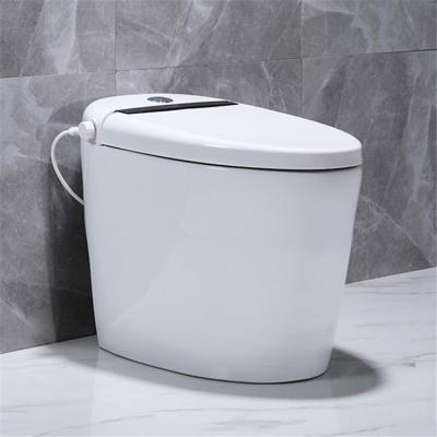 China Chinese Wholesale Popular Electricity Wc Smart One-piece Toilet Free Automatic Operation Multifunctional for sale