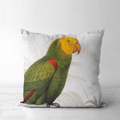 China Vintage boho parrot anti-static chic bird printed design cushion cover with letter for sale