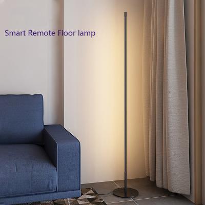 China 2021 Newest Space Saving USB LED Rechargeable Floor Standing Lamp RGB Floor Lamp RGB Minimal Corner Light for sale