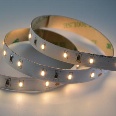 China Desktop Smd 3014 Led Strip 60Leds/M 24V 10Mm 6W/M Tape Led Light Flexible Led Strip Roll Led Strip Light Lighting Strip Decoration Light for sale