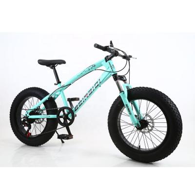 China Tour Selling Fatbike Top Quality High Quality Manufacture Full Suspension Customized Carbon Clincher Fat Bike 20inch for sale