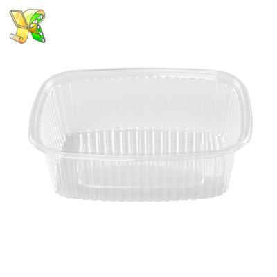 China Disposable Food Fruit Food Grade Plastic Container Fruit Salad Packaging Caterer Packaging Disposable Plastic Food Container for sale