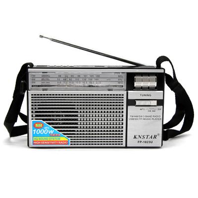 China 18650 FM AM Switches Portable Rechargeable Silver FP-1823U-S Multiband Radio Receiver for sale