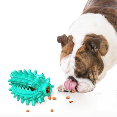 China 2022 New Viable Hot Selling Toy Pet Dog Squeak Chew Cactus Sucker Molar Toy Pet Supplies for sale