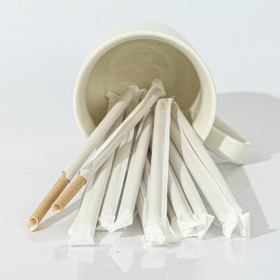 China Modern Smoothie Bars Tube Straw Wholesale Drinking Straw With Paper Drinking Wrap for sale