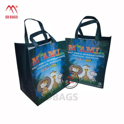 China China Manufacturer Professional PP Handled Non Woven Shopping Bag, PP Non Woven Bag for sale