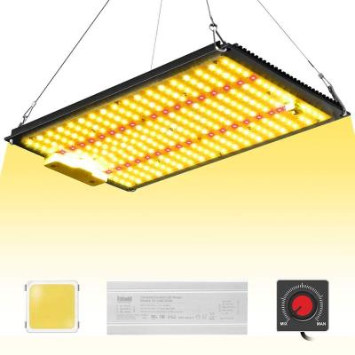 China Full Spectrum Led Grow Light Samsung LM281B 1000W Full Spectrum LED Grow Lights Hydroponic Indoor Plants Grow Lamp for sale