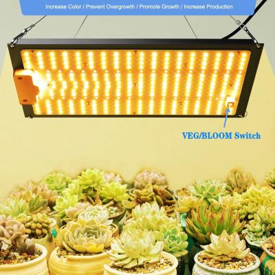 China Full Spectrum Led To Grow Light Free Shipping 1000W Dimmable Full Spectrum LED Sun Grow Light Led Grow Panel Samsung Lm281b Veg Flower Switch for sale