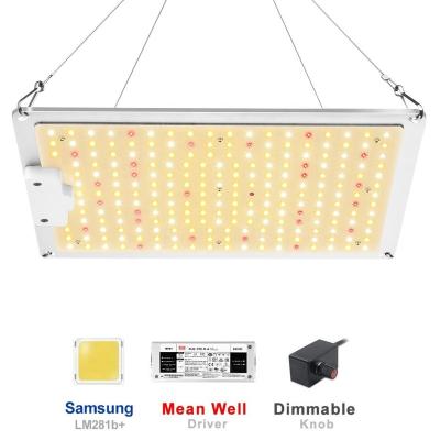 China US/EU Meanwell Driver Dimmable Samsung LM281B Full Spectrum 1000Watt LED Dimming Button Grow Light Board for sale