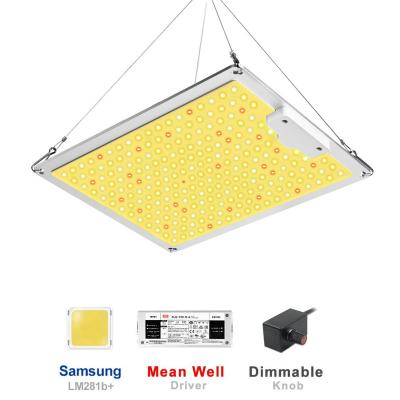 China Dimming Button US/EU Samsung Lm281b Dimmable Full Spectrum 1000W LED Grow Light Grow Lamp Hydroponic Indoor Plant Growth for sale