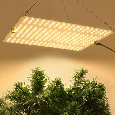 China Seed Starting Dimmable LED Grow Light Full Spectrum 1200W Phyto Light Samsung Lm281b Plant Growth Lamp With Veg/Flower Switches for sale