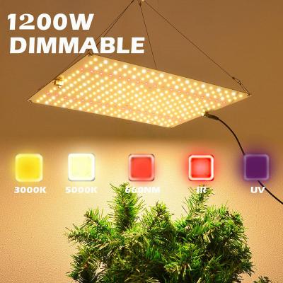 China Seed Starting 1500W Led Grow Light Dimmable Samsung Full Spectrum Plant Grow Light Lamp For Hydroponic Indoor Garden Greenhouse for sale