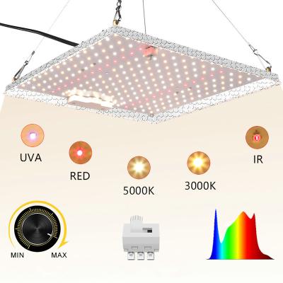 China Seed Starting LED Grow Light 1200W Full Spectrum Grow Lamp For Indoor Plants And Hydroponic System for sale