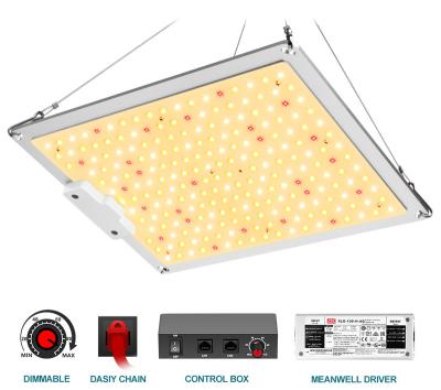 China Seed Starting EVQ Full Spectrum Samsung LM301H LED Grow Light 1000w Full Spectrum Grow Lamp With Dimming Daisy Chain for sale