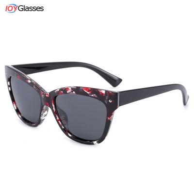 China Eyewear Square Cat Eye Sunglasses Women Retro Fashion Frame Ladies Eyewear Training for sale