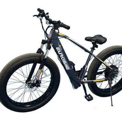 China Long High Carbon Steel Energy Saving Electric Bicycle 48v Battery Life Lithium Battery Mini Electric Bike for sale