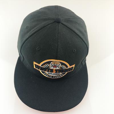 China COMMON High Quality Snapback Hats Simple Snapback Baseball Hats Bespoke Snapback Hats for sale