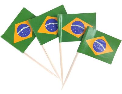 China Custom Printing Healthcare Institutes Party Decoration Wood Pick Flag Brazil Foothpick Paper Flag for sale