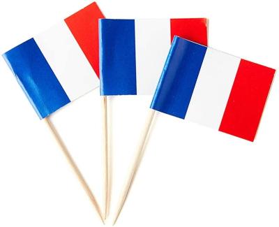 China Healthcare Institutes Party Decoration Custom Printing Wood Pick Flag France Foothpick Paper Flag for sale