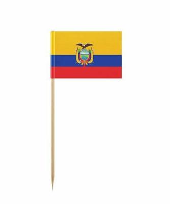 China Custom Printing Healthcare Institutes Party Decoration Wood Pick Flag Ecuador Foothpick Paper Flag for sale