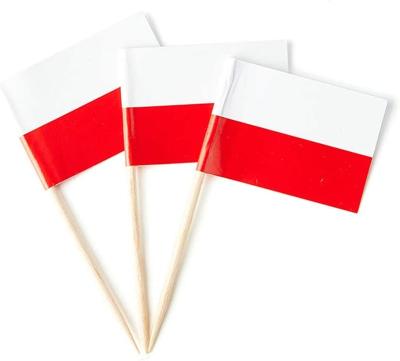 China Custom Printing Healthcare Institutes Party Decoration Wood Pick Flag Poland Foothpick Paper Flag for sale