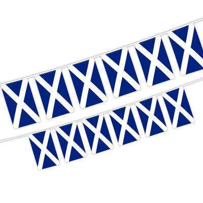 China High Quality 100% Polyester 14x21cm String 12pcs Flag Scotland Bunting Flag Of Healthcare Institutes for sale