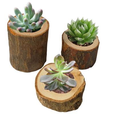 China Europe Bark Stake Candlestick Home Decor Flowerpot Flowerpot Creative Small Fleshy Decoration Crafts Wooden Crafts Decoration for sale