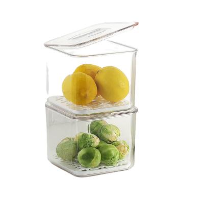 China Viable Hot Selling Transparent Plastic Refrigerator Fruits And Vegetables Packing Storage Box for sale