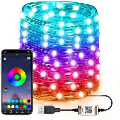 China Multi Light Copper Wire RGB Color Design Wedding Decoration USB Powered APP Control LED Fairy Copper String Light for sale