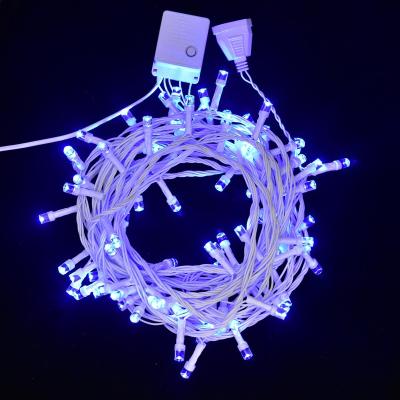 China 2021 Light String Factory Direct Sales Christmas Decoration LED String Light for sale