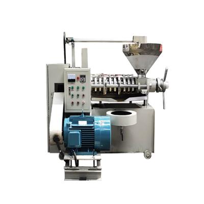 China Factory 6YL-130 hot oil press screw oil press machine for sale