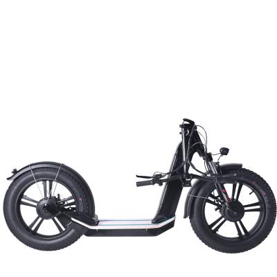 China 2021 new arrival unisex hot selling e-bike e-bike electric folding bike for sale