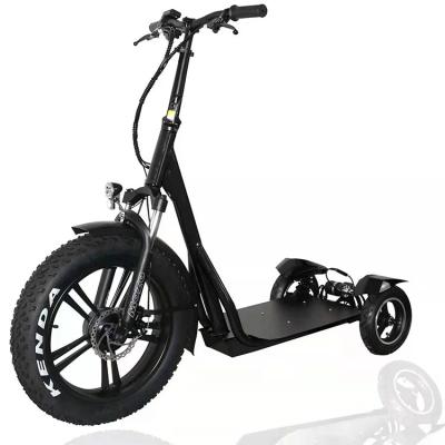 China 1000W Mens Fat Tires 3 Wheels Scooter Stand Up Electric Scooter For Adults for sale