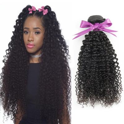 China Wholesale Price Fashion Hair Product Hair Product Hair Extension Package Malaysian Curly Curly Virgin Hair Virgin Sellers Elegant Curly Hair for sale