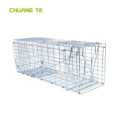 China Large Live Animal Trap Catch Release Viable Humane Rodent Cage Collapsible Humane Trap Cage for sale