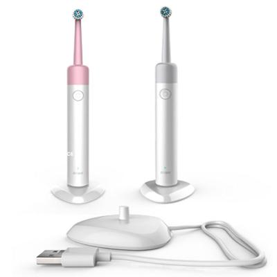 China High quality electric toothbrush maintain tooth recharge IPX7, waterproof and total cheap and affordable from factory for sale