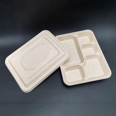 China Disposable Biodegradable Bagasse Takeaway Food Microwavable Container for sale