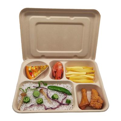 China 100% Compostable Disposable Take Out Sugar Cane Lunch Box Bagasse Food Containers for sale