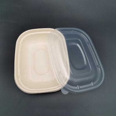 China Disposable Biodegradable Sugar Cane Bagasse Takeout Food Tray With Lid for sale