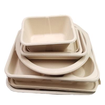 China Biodegadable Sugar Cane Bagasse Lunch Box Biodegradable Food Container for sale