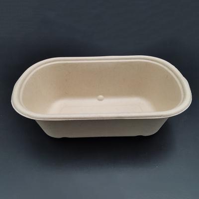 China Sugarcane Microwavable Disposable Fiber Pulp Bagasse Biodegradable Food Container for sale