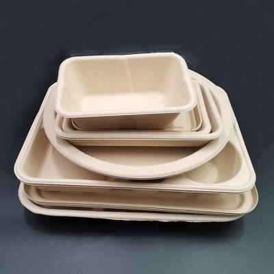 China Food Fruit Packaging Trays Custom Eco Friendly Biodegradable Bagasse Food Fruit Meat Packaging Tray for sale