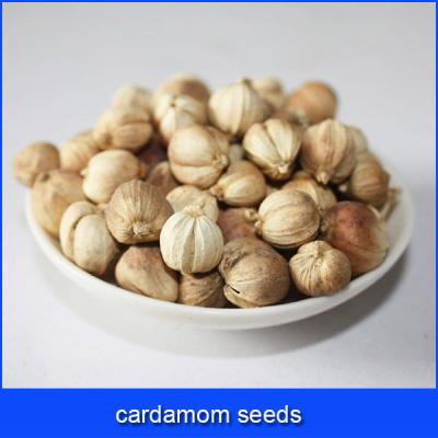 China No Spot White Cardamom Seeds for sale