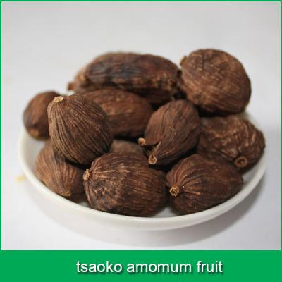 China No stain tsaoko amomum fruit for sale