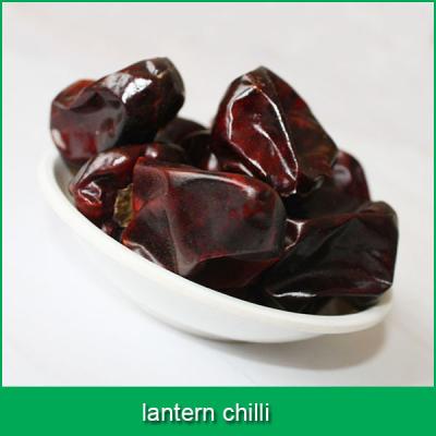 China No Spot Lantern Peppers for sale