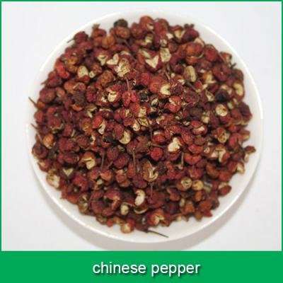 China No Spot Chinese Pepper for sale