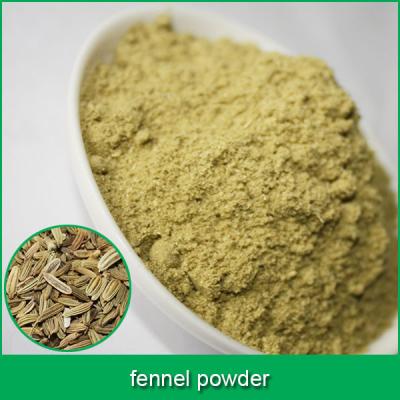 China No Stain Fennel Powder (80 Mesh) for sale