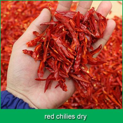 China No Dried Spot Red Chilies for sale